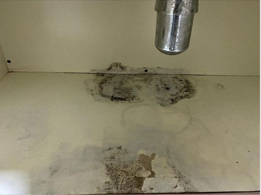 Black mould patches on water-damaged cabinet base under a kitchen sink